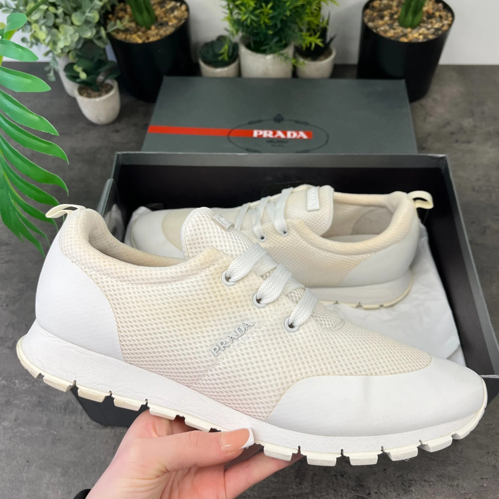 Men's Logo Runners Low Trainers Cream Size EU 44.5 / UK 10.5