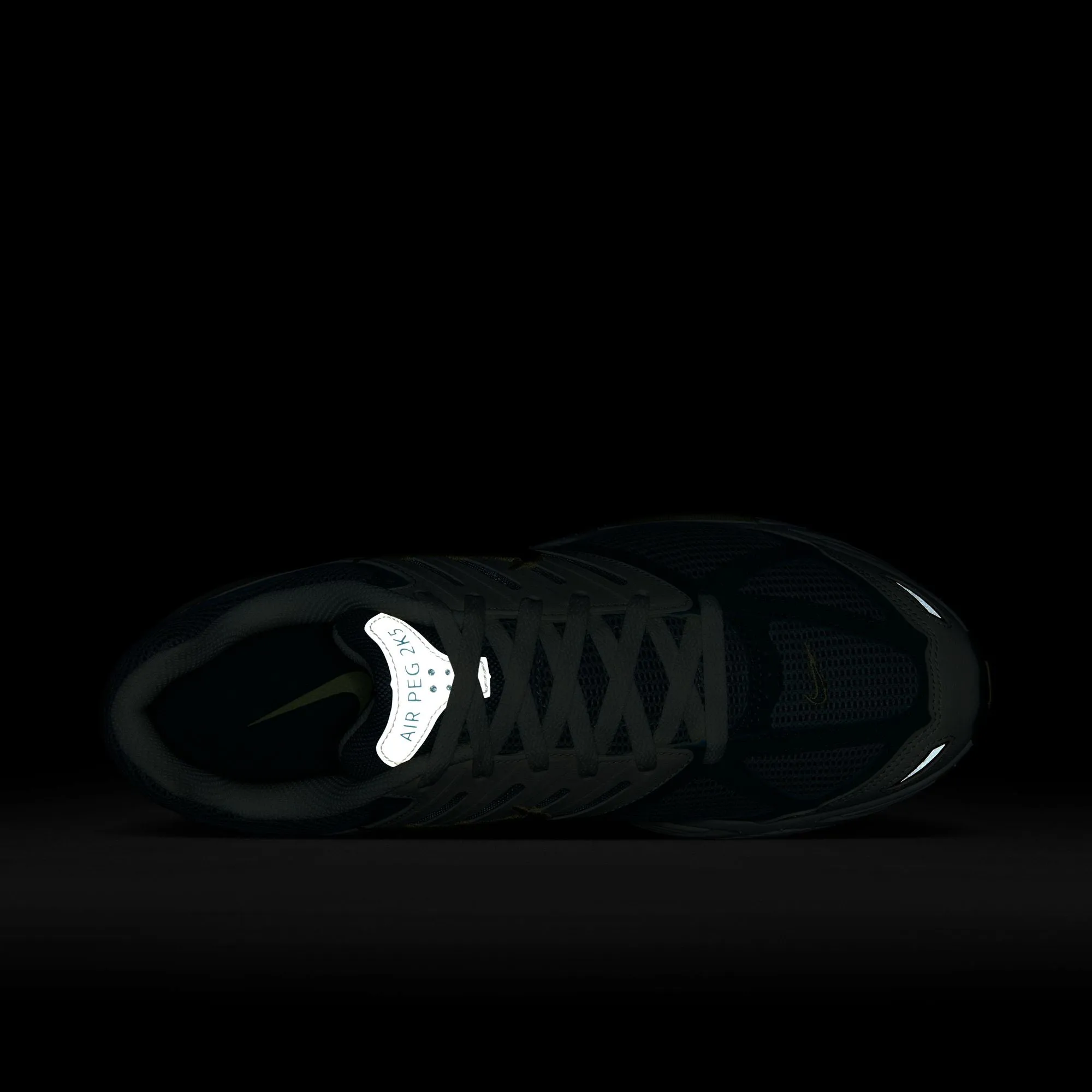 Nike Air Pegasus 2k5 (Coconut Milk/Bicoastal/Light Silver)